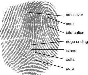 biometric  authentication